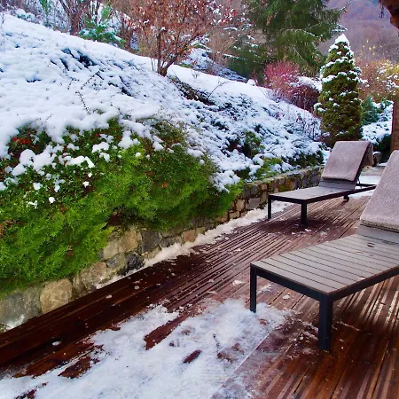 Greystone Dağ evi *